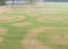 Poor sprinkler pressure